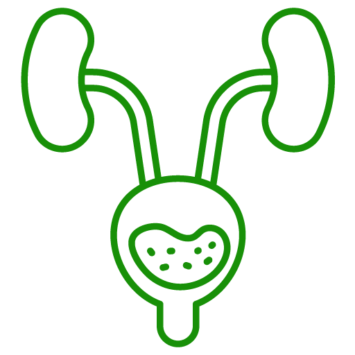 UTI (Urinary Tract Infection)