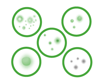 Common Skin Conditions